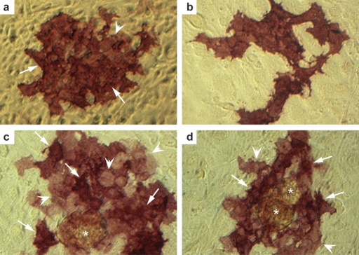 Figure 3: