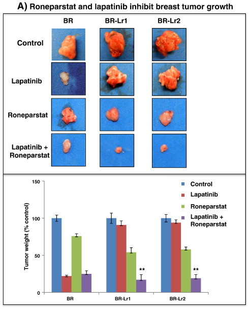 Figure 5