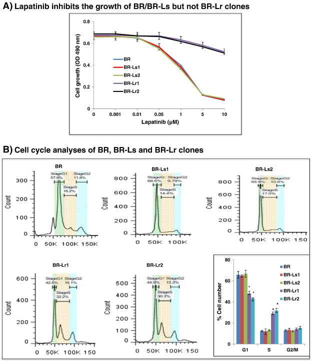 Figure 1