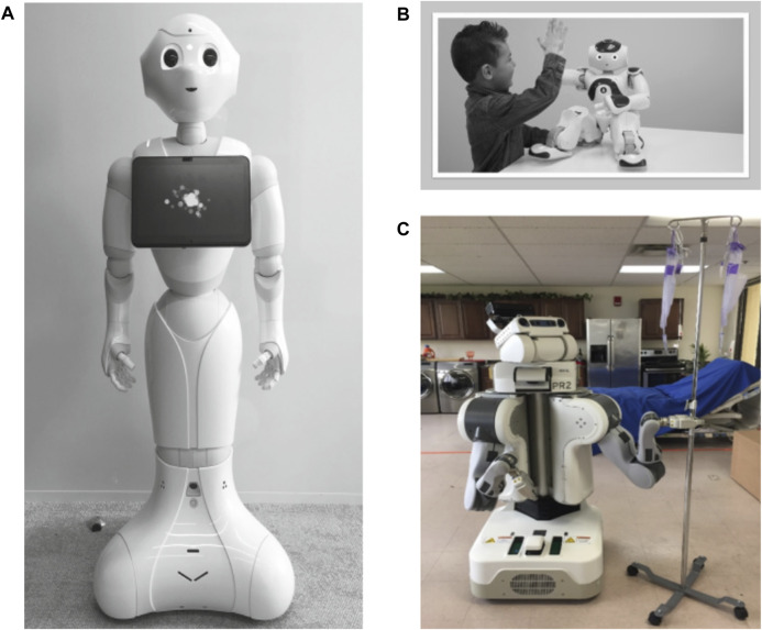 FIGURE 2