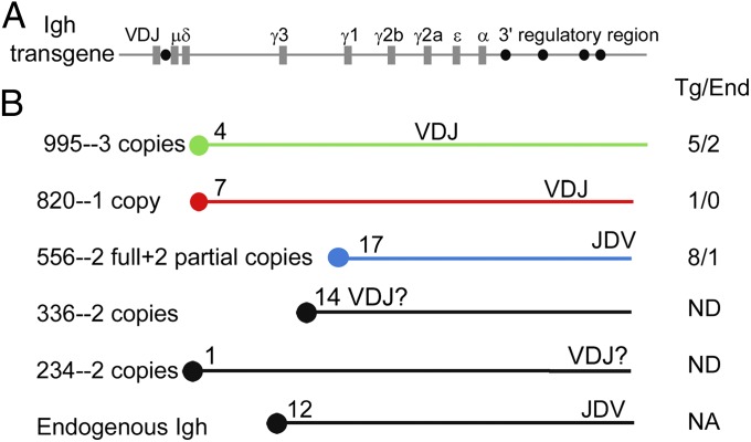 Fig. 1.