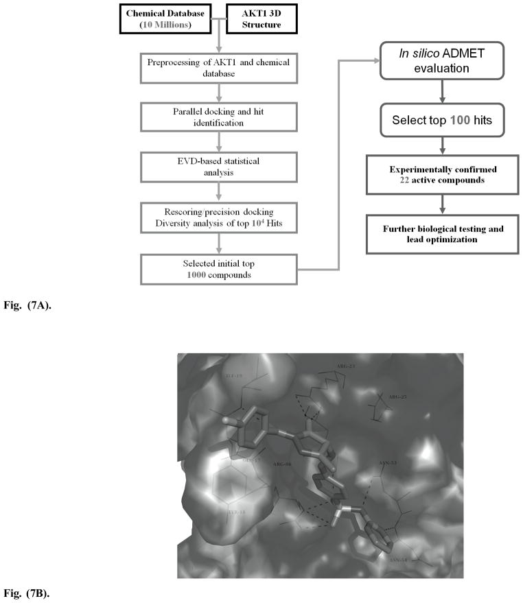 Fig. 7