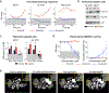 Figure 7: