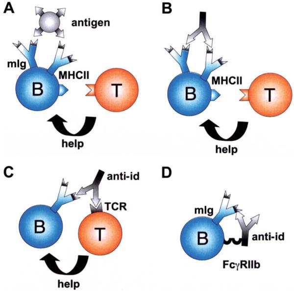 FIGURE 3