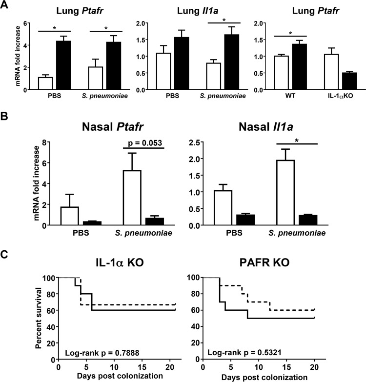 FIG 6