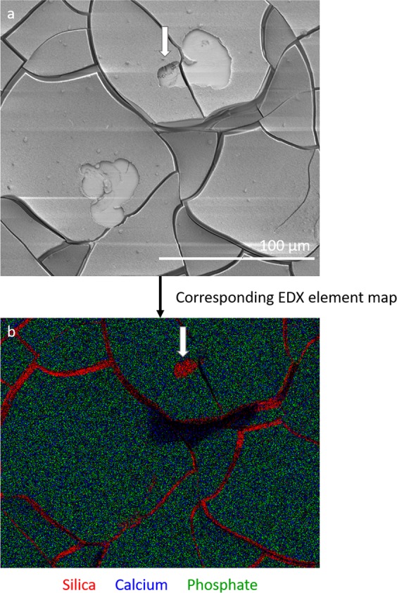 Fig. 9