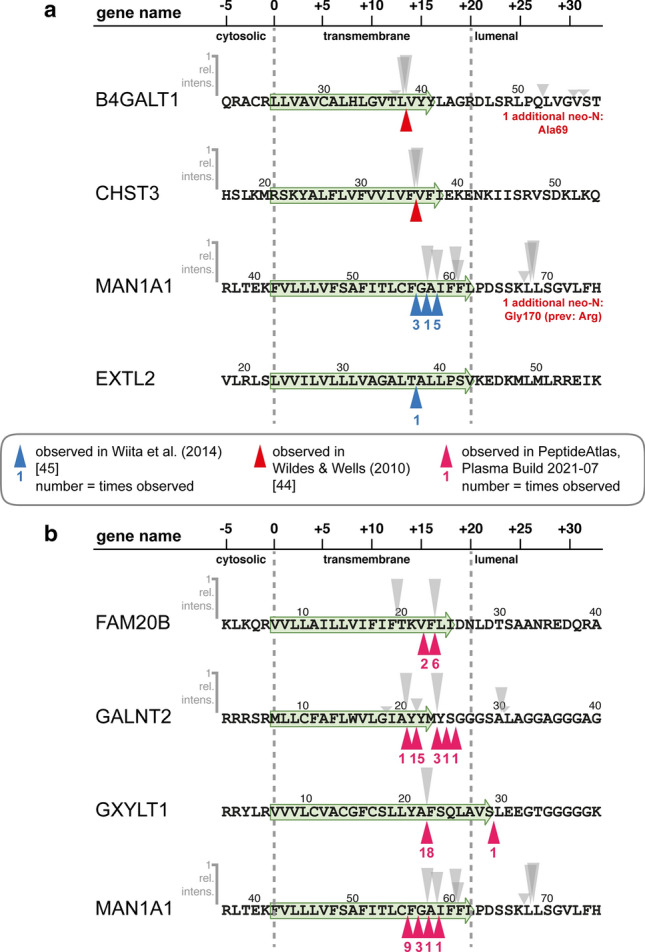 Fig. 7