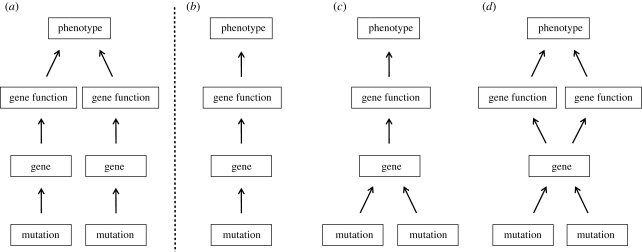 Figure 1.