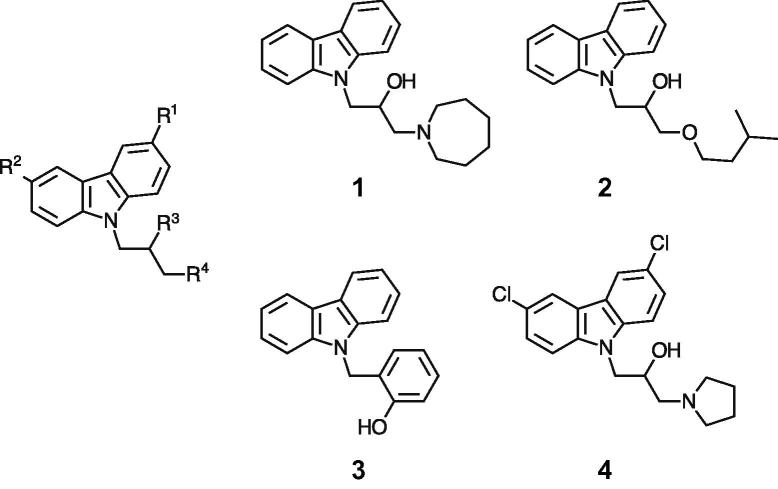 Fig. 1