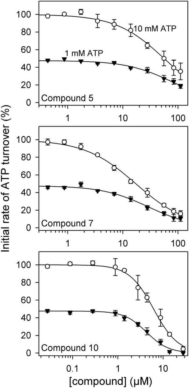 Fig. 6