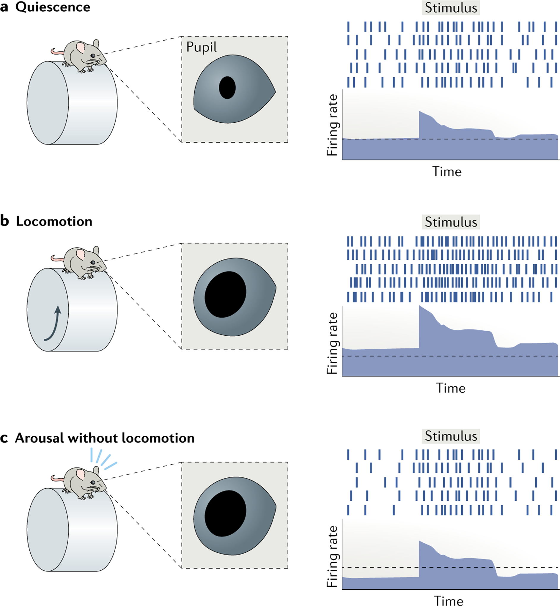 Fig. 2 |