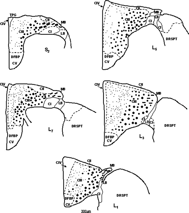 Fig. 12.