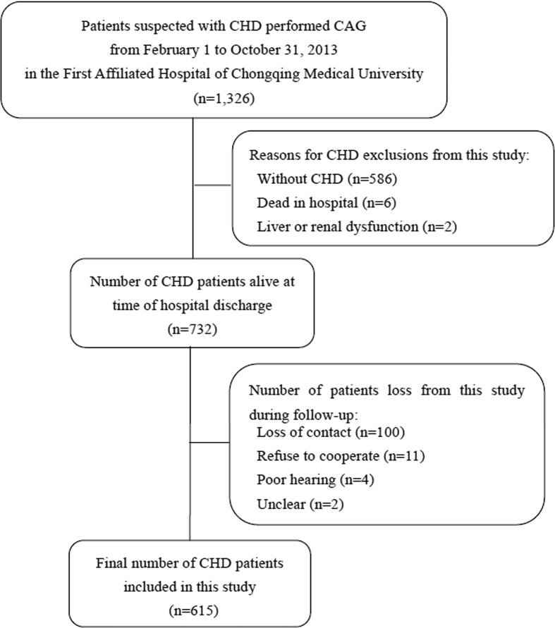 Figure 1