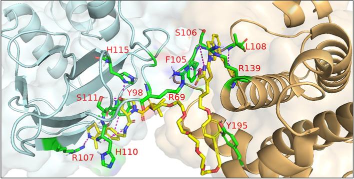 Fig. 24