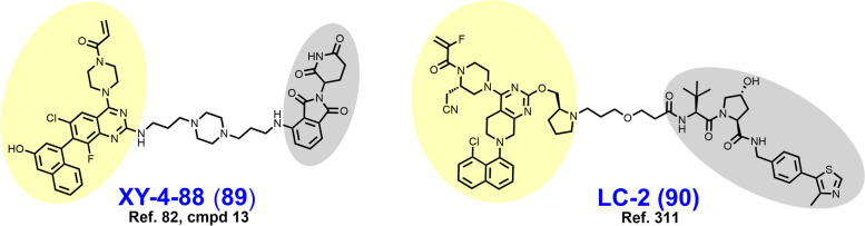 Fig. 19