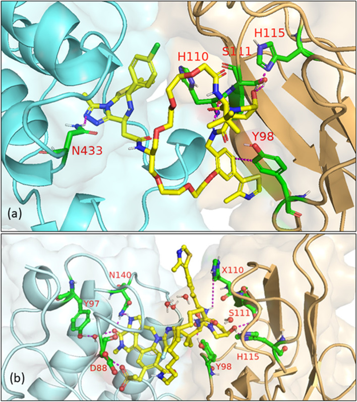 Fig. 17