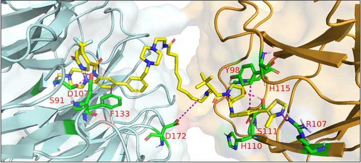 Fig. 25