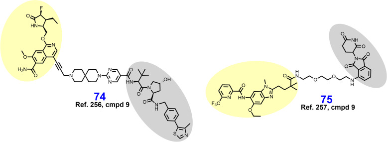 Fig. 15