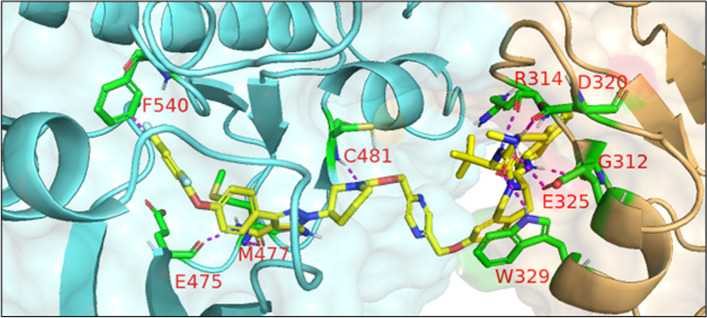 Fig. 7