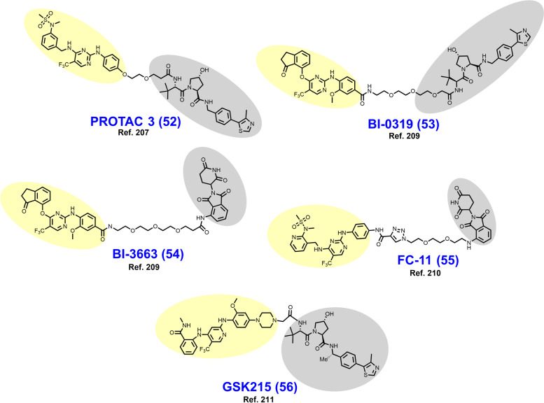 Fig. 11