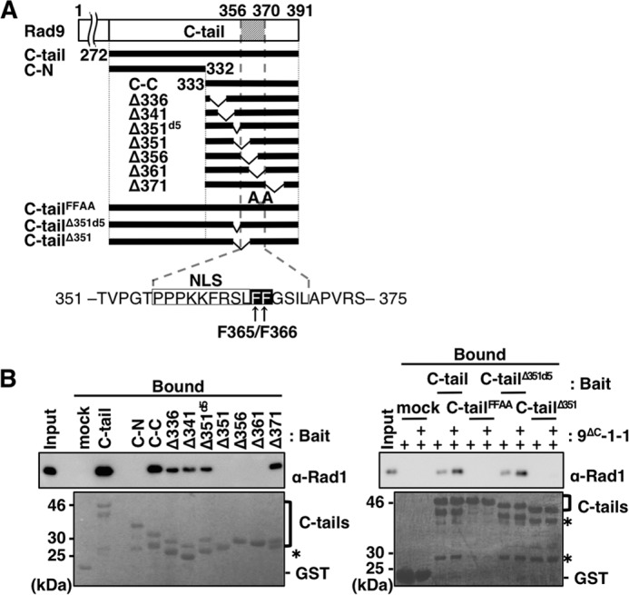 FIGURE 3.