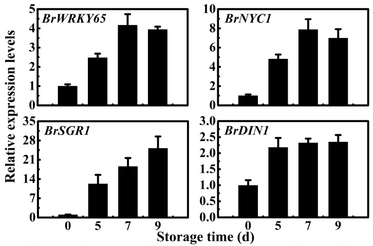 Figure 4