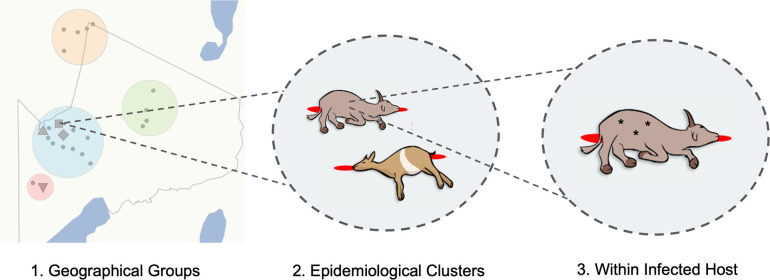 Fig. 1.