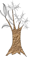 FIGURE B1