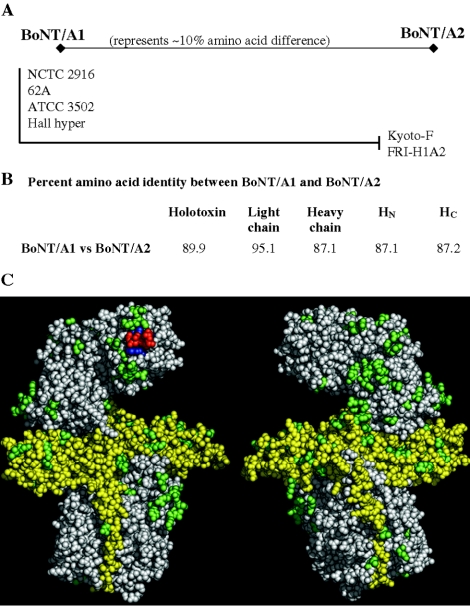 FIG. 1.