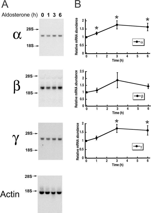 Figure 9. 