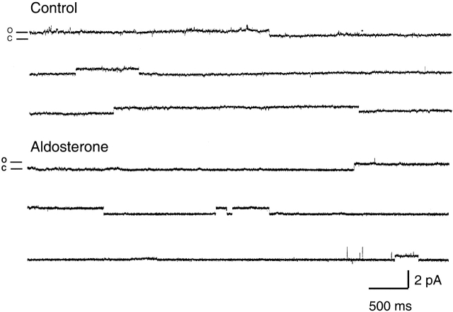 Figure 11. 