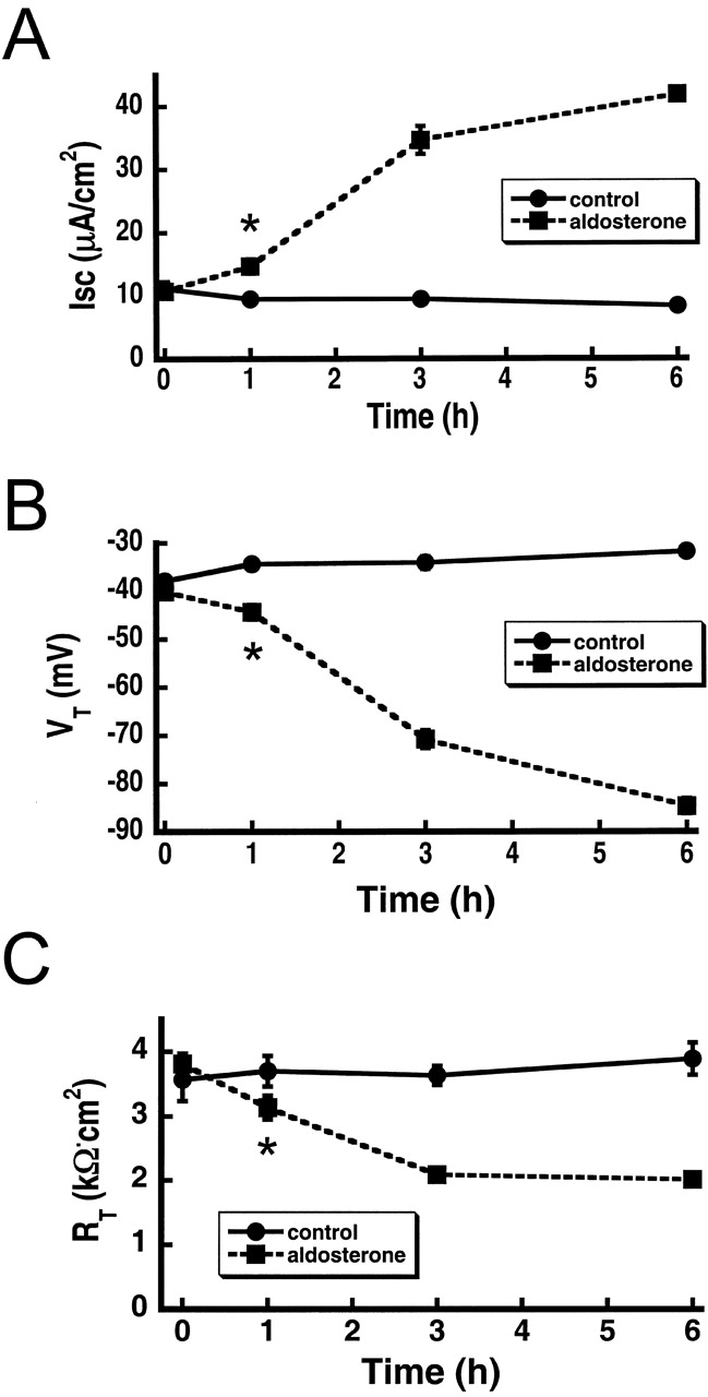 Figure 10. 