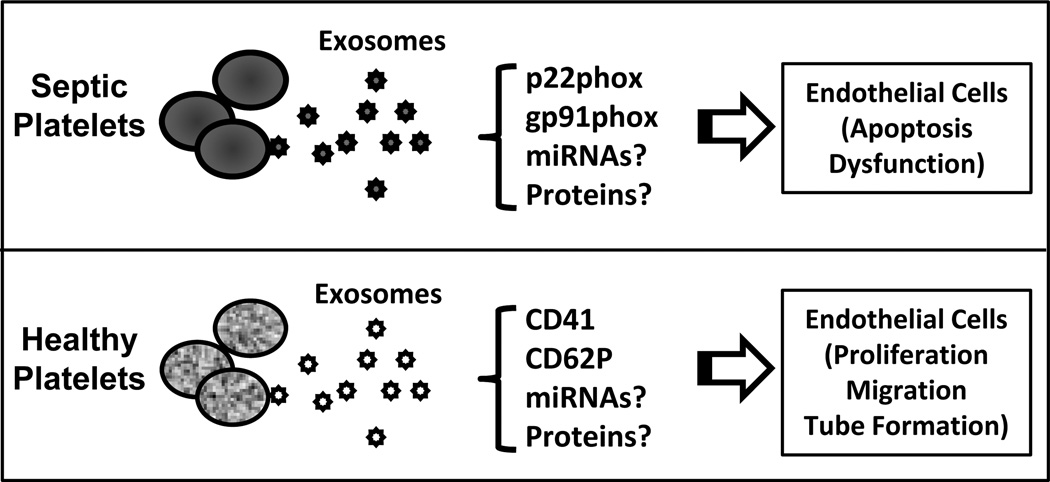 Fig. (2)