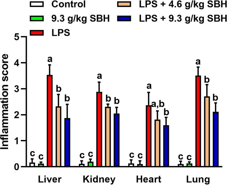 Fig. 11