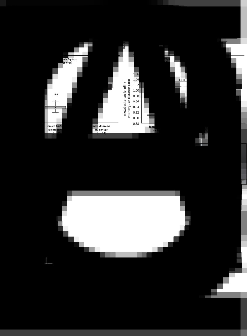 Fig. 5.