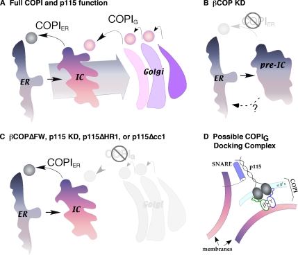 Figure 10.