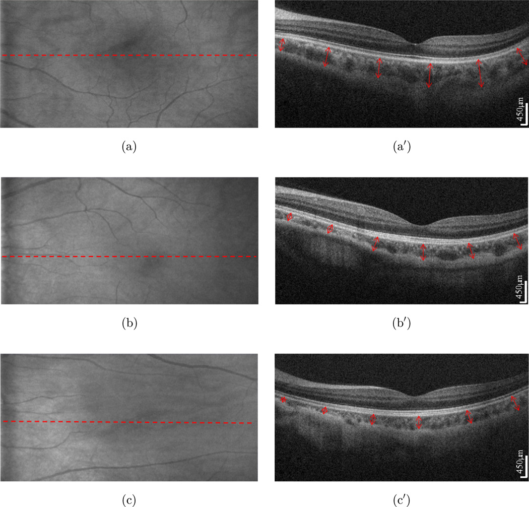 Fig. 3