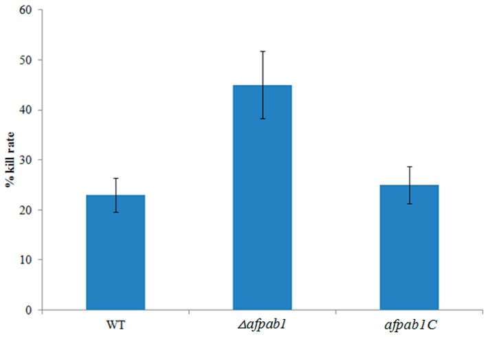 Figure 10