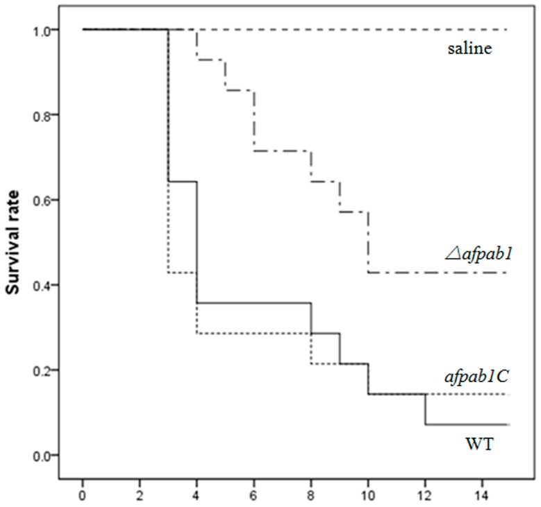 Figure 11