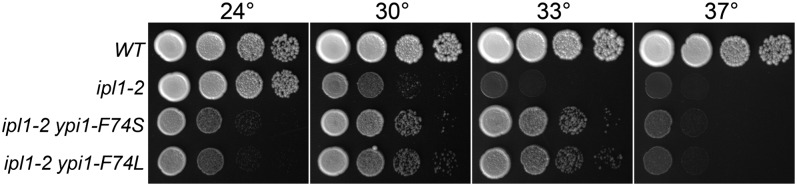 Figure 4 