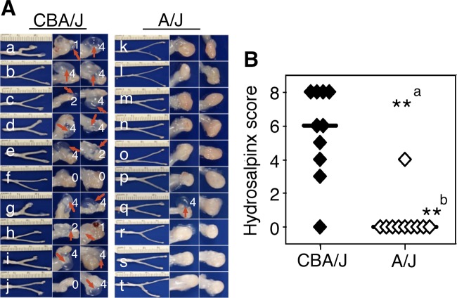 FIG 1