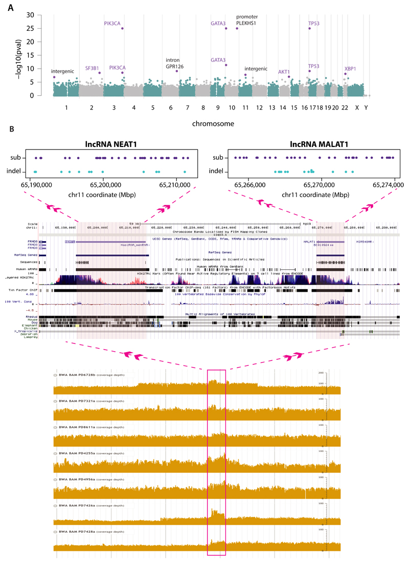 Extended Data Figure 3