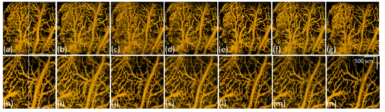 Fig. 6