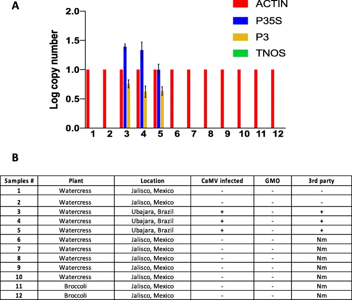 Fig. 4