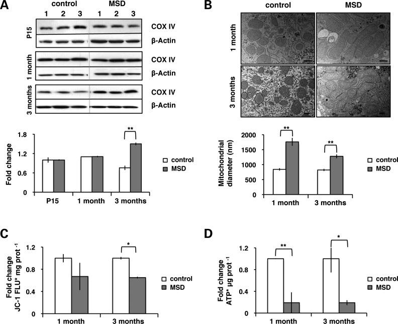 Figure 2.