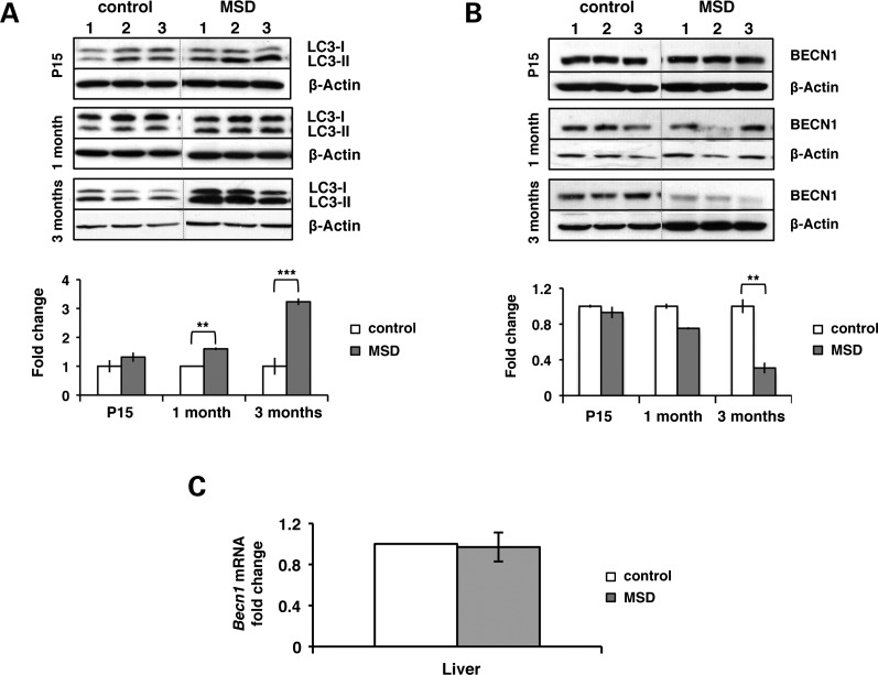 Figure 6.