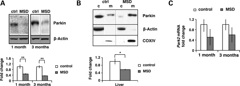 Figure 5.