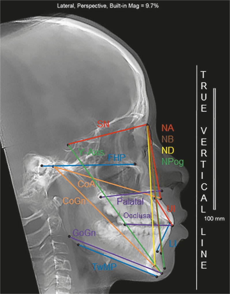 Figure 2 -