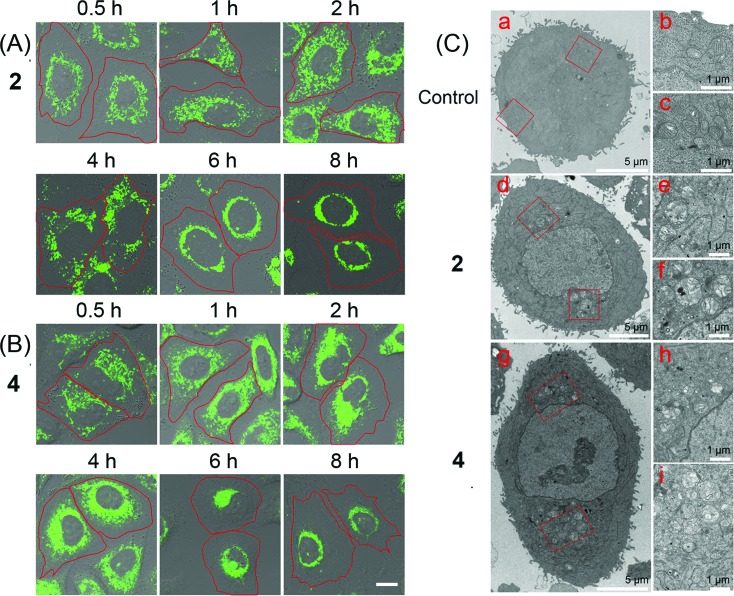 Fig. 6