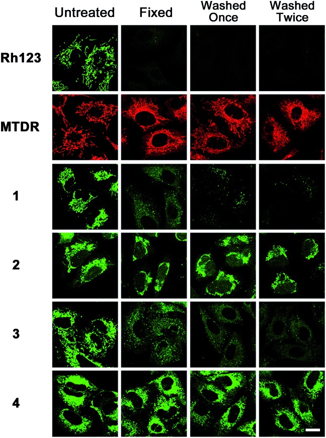 Fig. 4